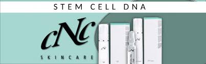 face one Stem Cell DNA